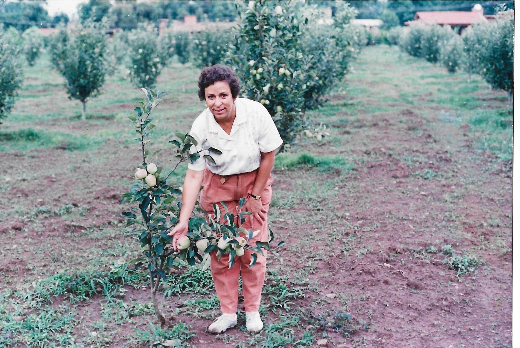 Conoce a Carmelita, la matriarca detrás de Rompope Carmelita. En su huerto de manzanos en Morelia, inició en 1992 la receta artesanal que hoy es símbolo de calidad y tradición familiar, en Morelia mich.