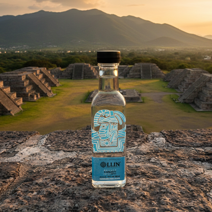 Mezcal Ollin Espadín