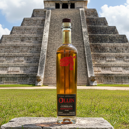 Botella de Mezcal Artesanal Ollin Cupreata Reposado con etiqueta elegante, fondo neutro