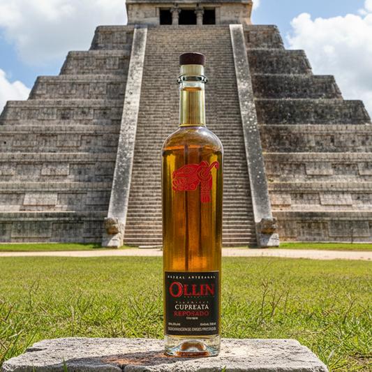 Botella de Mezcal Artesanal Ollin Cupreata Reposado con etiqueta elegante, fondo neutro